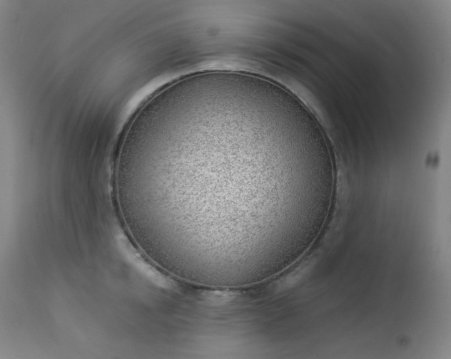 X0000112920854200909080932