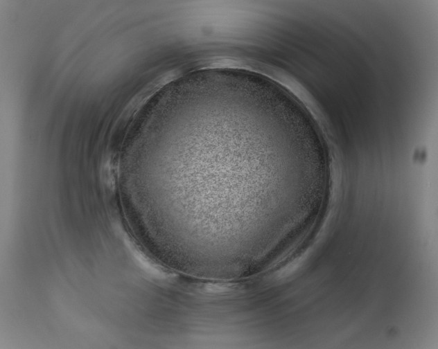X0000112920857200909080932