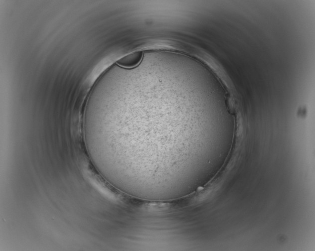 X0000112920858200909080932