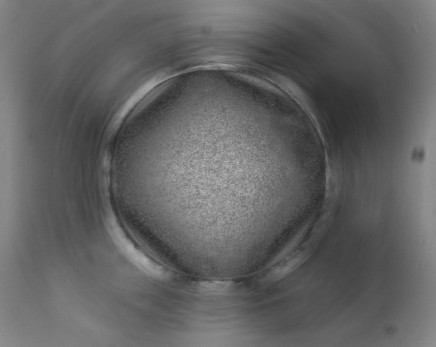 X0000112920859200909080932