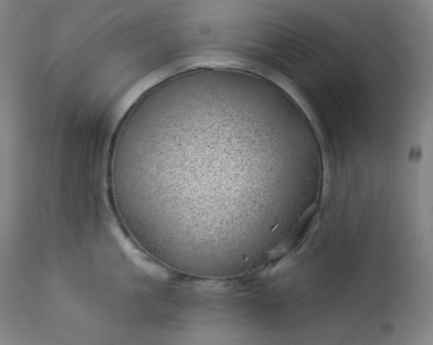 X0000112920861200909080932