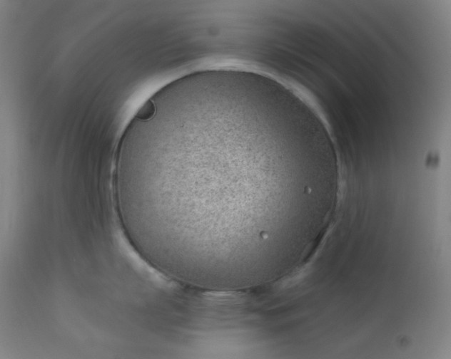 X0000112920863200909080932