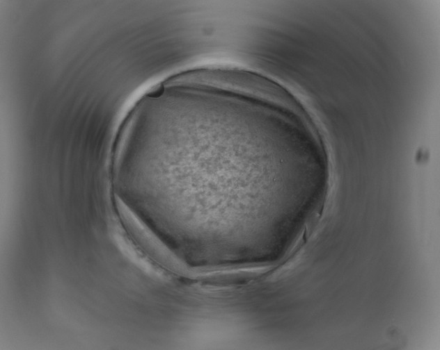 X0000112920864200909080932