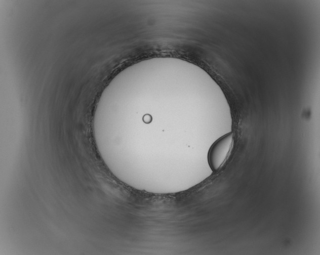 X0000112920865200909080931