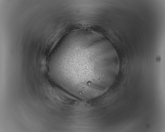 X0000112920866200909080931