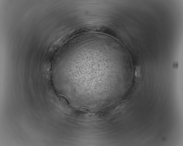 X0000112920867200909080931