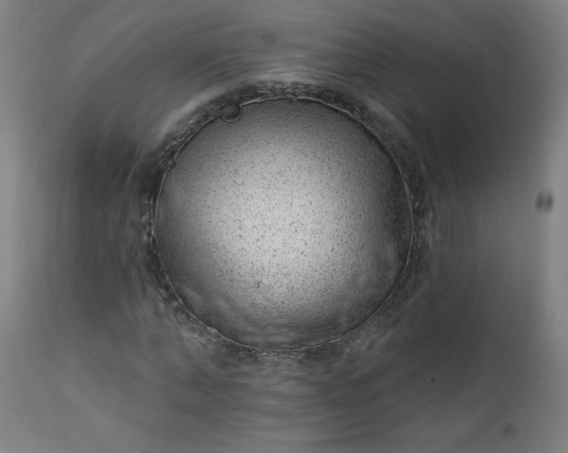 X0000112920870200909080931