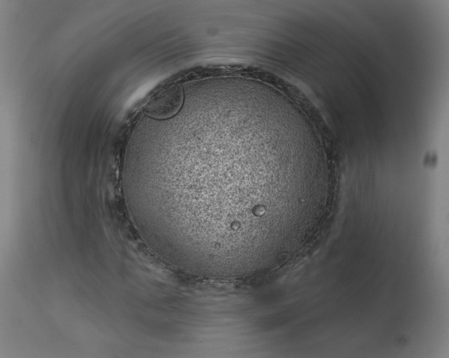 X0000112920871200909080931