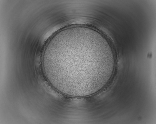 X0000112920874200909080931