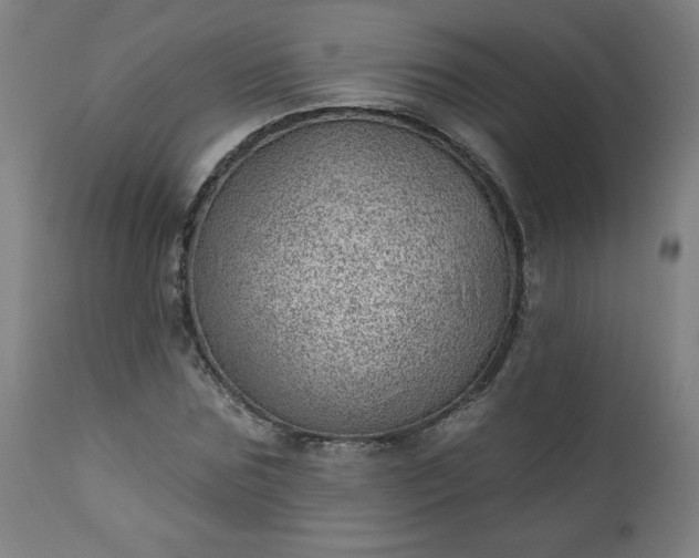 X0000112920875200909080931