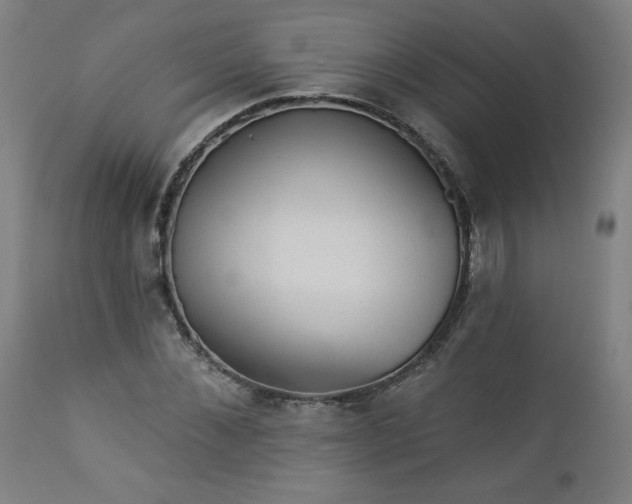 X0000112920876200909080931