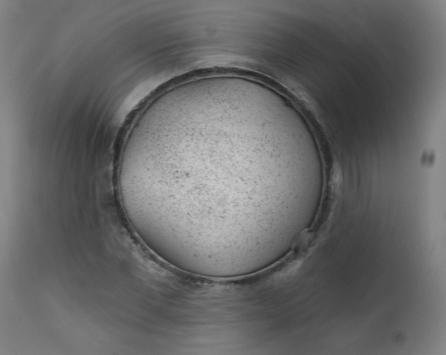 X0000112920877200909080931