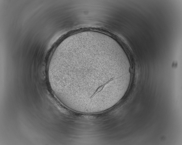 X0000112920878200909080931