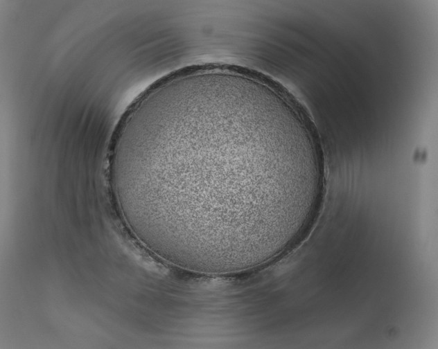 X0000112920879200909080931