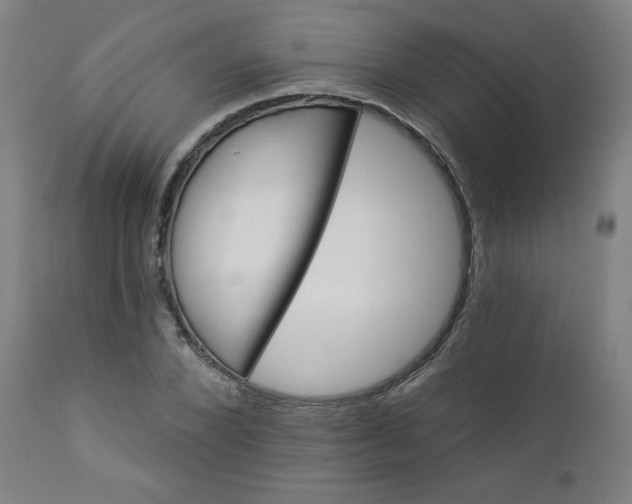 X0000112920880200909080931