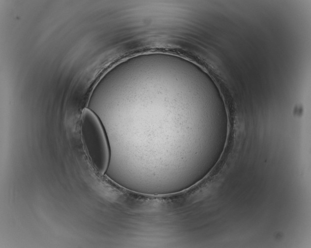 X0000112920881200909080931