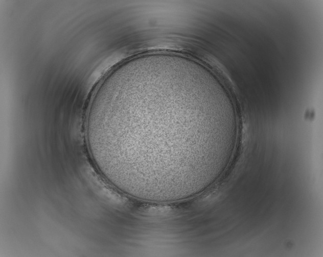 X0000112920882200909080931