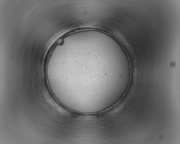 X0000112920884200909080931