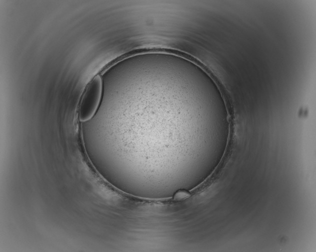X0000112920885200909080931