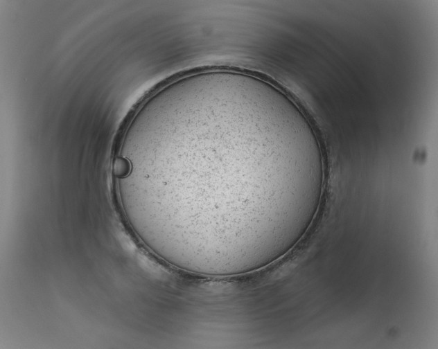 X0000112920888200909080931