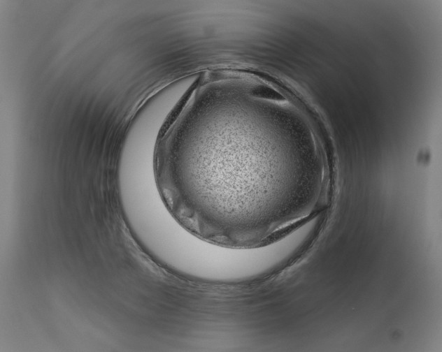 X0000112920889200909080931