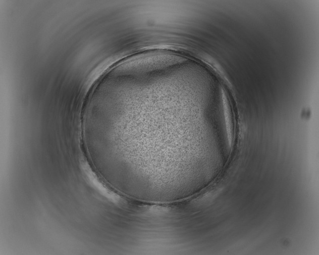X0000112920890200909080931
