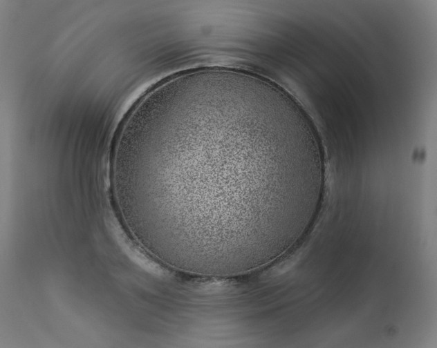 X0000112920891200909080931