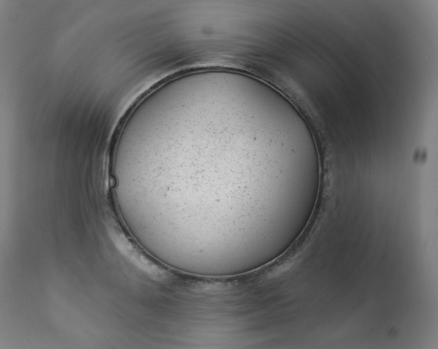 X0000112920892200909080931