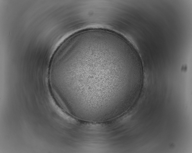 X0000112920895200909080931