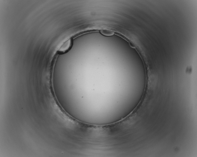 X0000112920896200909080931