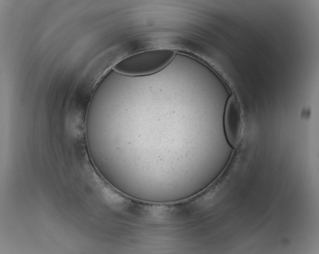 X0000112920897200909080931