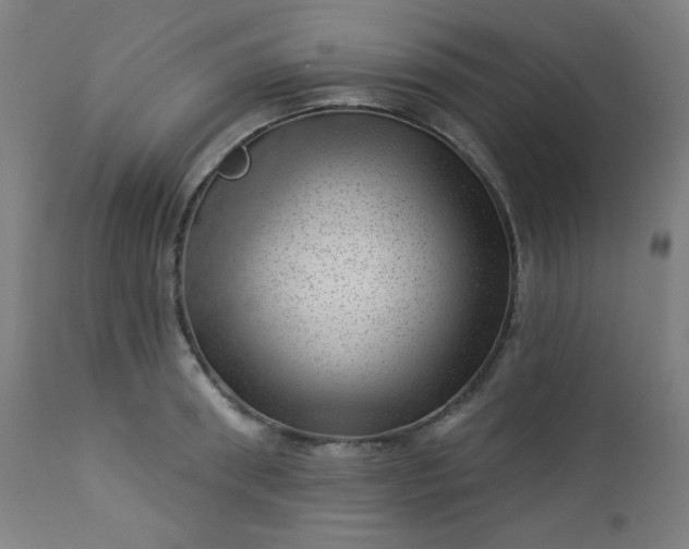 X0000112920898200909080931