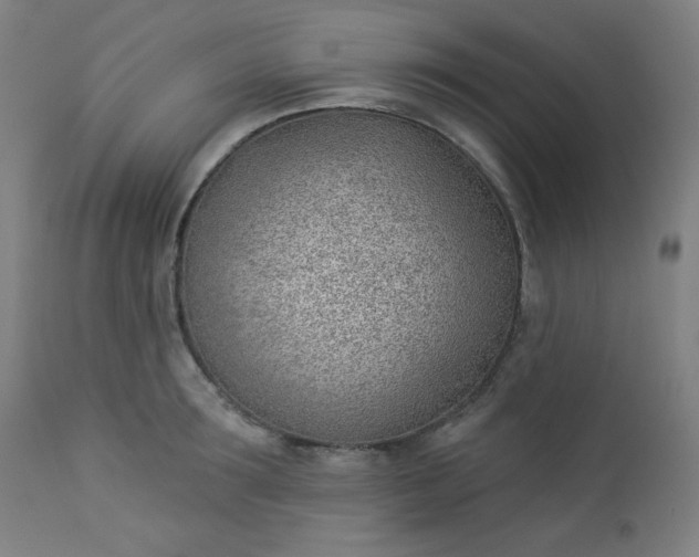 X0000112920899200909080931