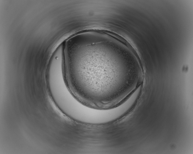 X0000112920901200909080931