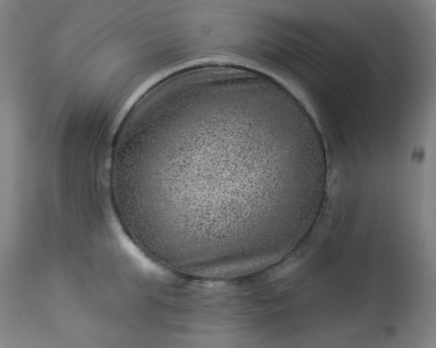 X0000112920903200909080931