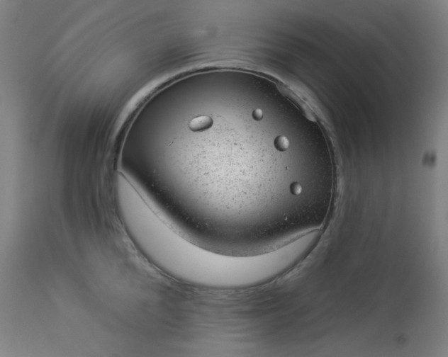 X0000112920904200909080931