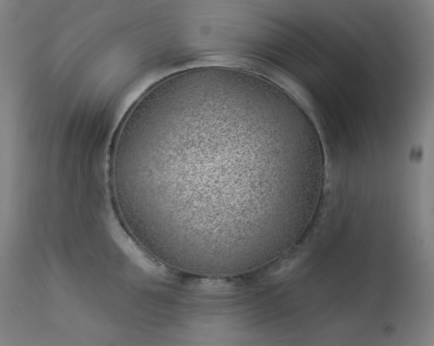 X0000112920907200909080931