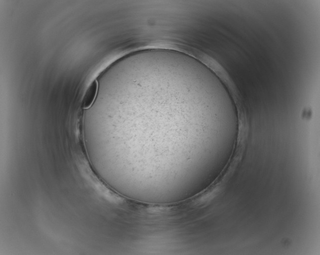 X0000112920908200909080931