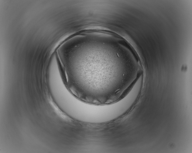 X0000112920909200909080931