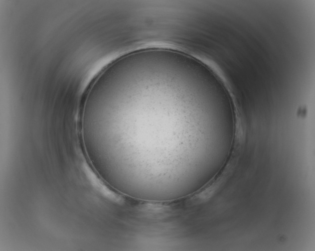 X0000112920910200909080931