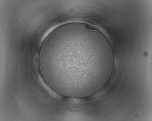 X0000112920911200909080931