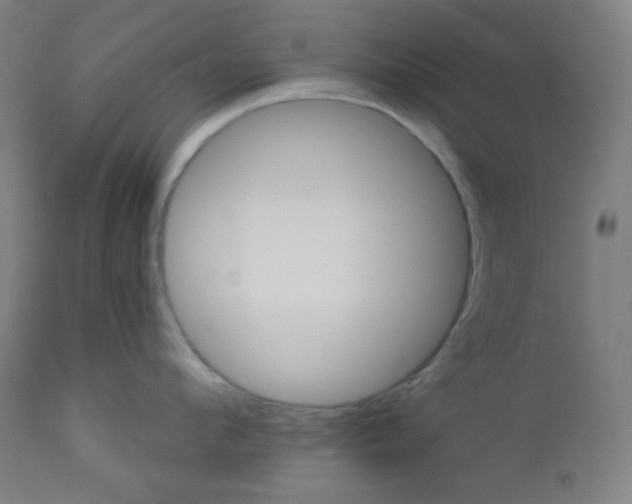 X0000112920912200909080931