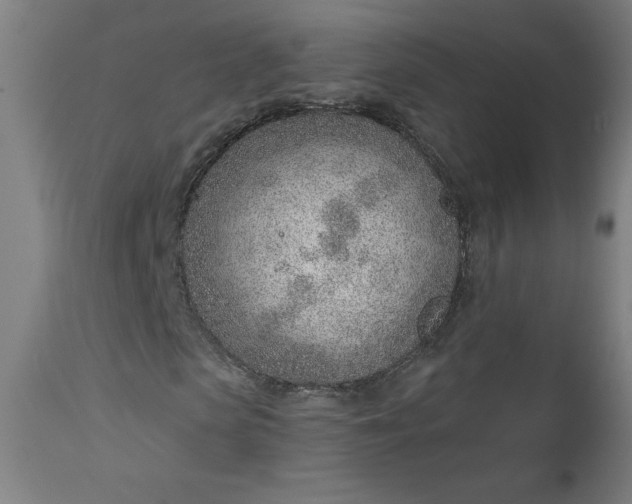 X0000112920913200909080930