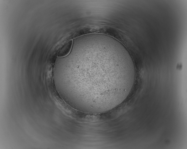 X0000112920914200909080930