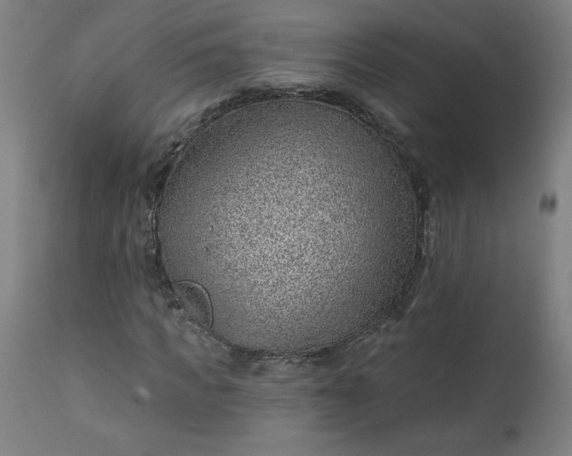 X0000112920917200909080930
