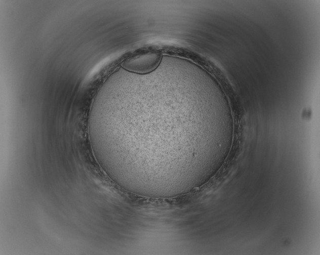 X0000112920919200909080930