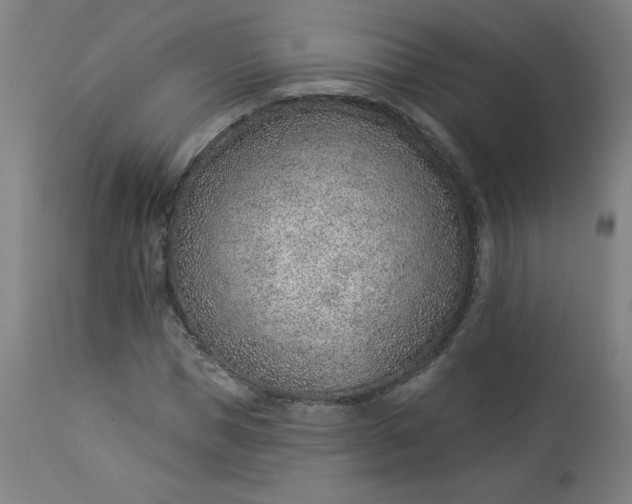 X0000112920921200909080930
