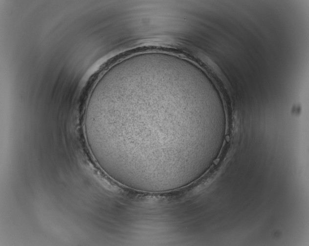 X0000112920923200909080930