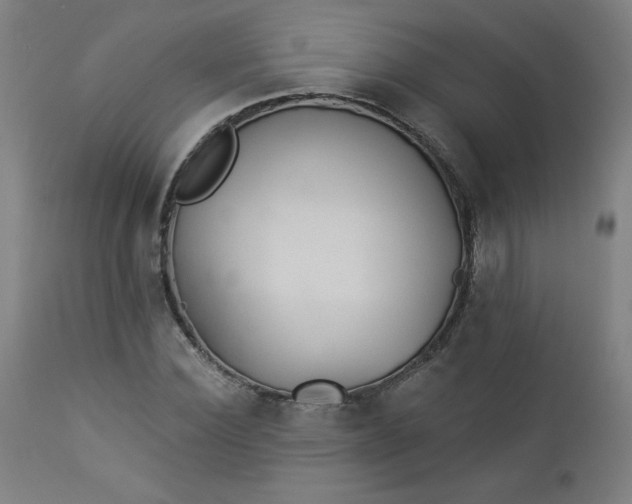 X0000112920924200909080930