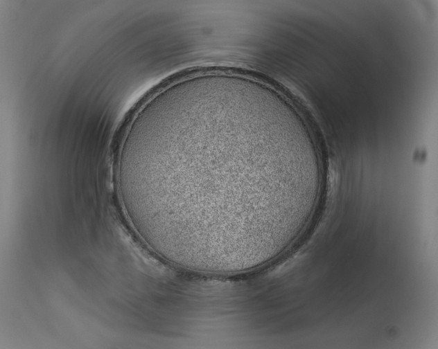 X0000112920925200909080930